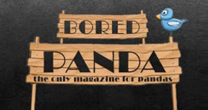 Bored panda